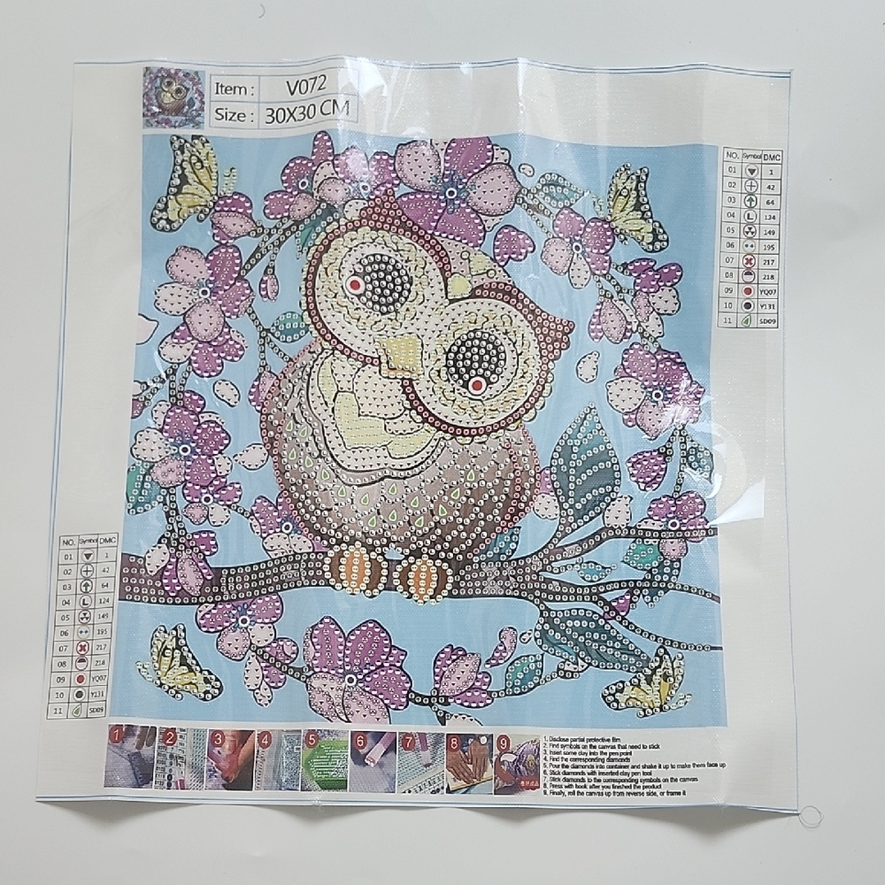 BN 2/$20 Unique Diamonds Owl Diamond Painting Kit with Floral Design 30cm X30cm